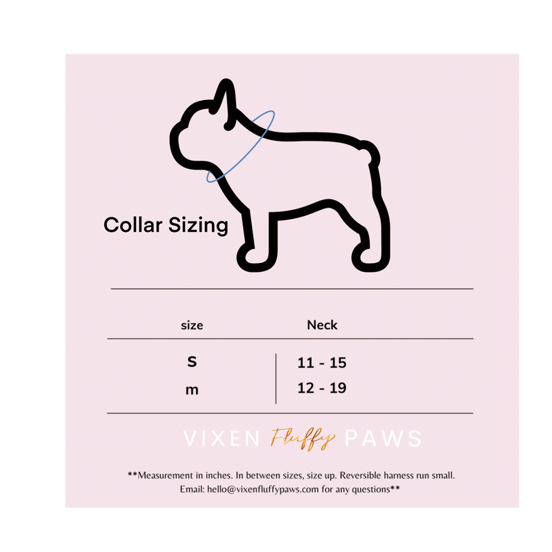 French bulldog collar 2024 size