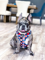 Pawty in the USA Reversible Harness
