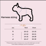 Dream Chaser Reversible Dog Harness