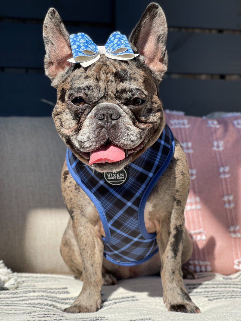 Better in Blue Reversible Plaid Harness